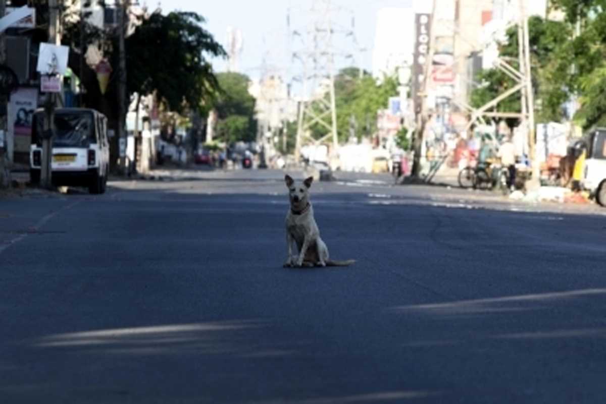 यूपी : अपराधी घोषित होने वाले नेता, जिनका राजनीतिक करियर हुआ खत्म